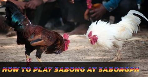 sabong manila|Why e.